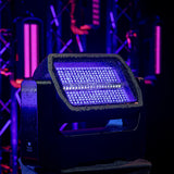 Infinity Raccoon S250/4 Junior