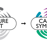 Upgrade Capture Duet to Symphony