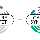 Upgrade Capture Quartet to Symphony