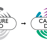 Upgrade Capture Solo to Duet