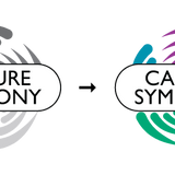 Version Upgrade to Capture 2026 Symphony
