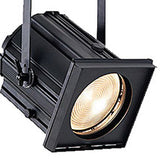 Selecon Arena High Performance Fresnel 10"
