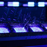 Showtec Spectra Wash